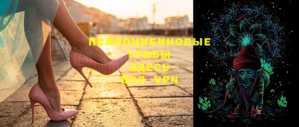 Альфа ПВП Осинники