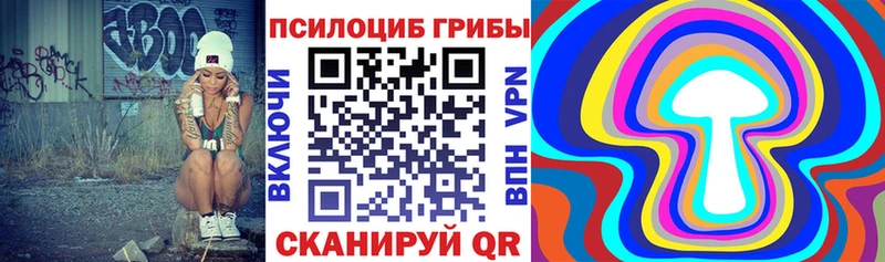 Купить где  Кемерово  Галлюциногенные грибы прущие грибы 